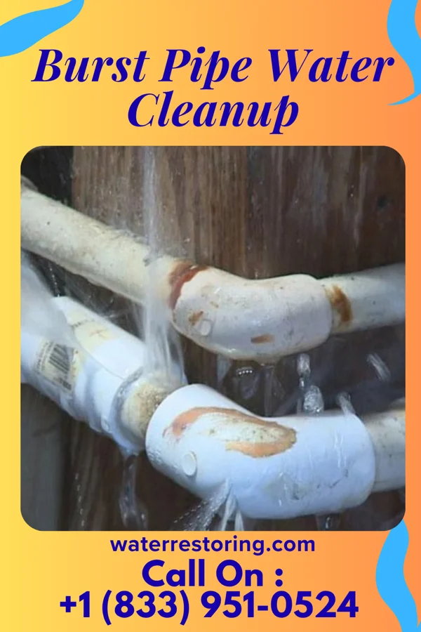 Burst Pipe Water Cleanup in Stockholm, WI