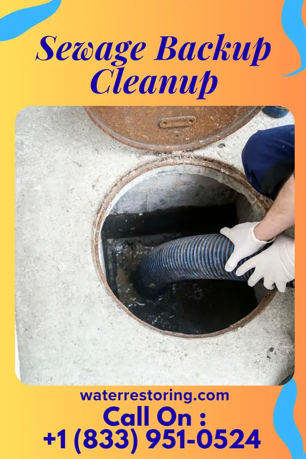 Sewage Backup Cleanup in Stockholm, WI