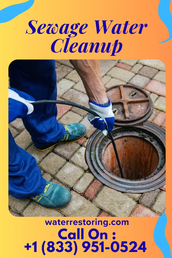 Sewage Water Cleanup in Stockholm, WI