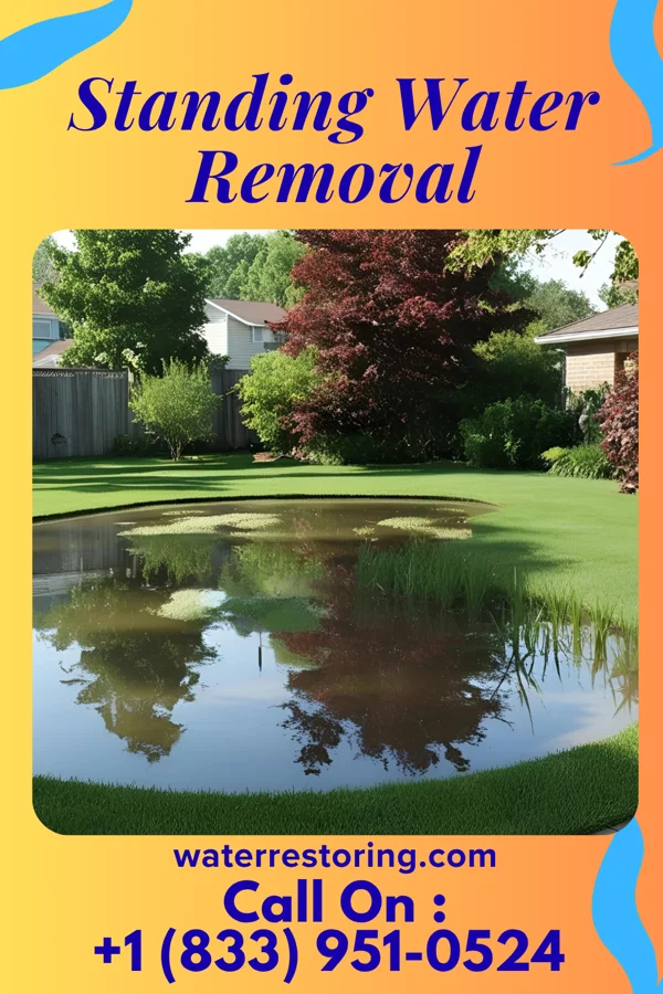 Standing Water Removal in Stockholm, WI
